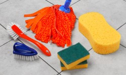 Suspendisse arcu nisl